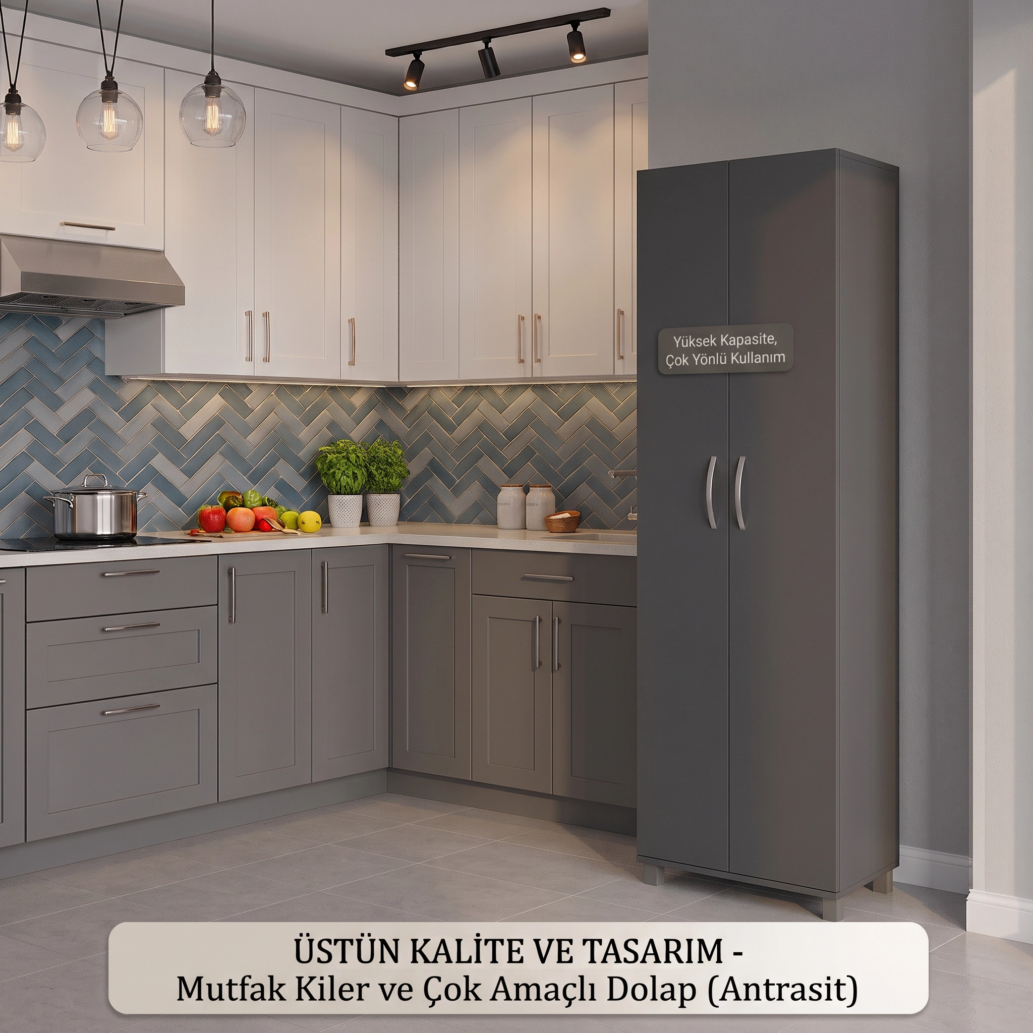İki Kapaklı Antrasit Çok Amaçlı dolap